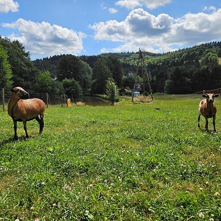 Kominkowka Brenna Esterno foto